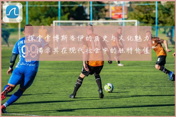 探索索博斯洛伊的历史与文化魅力，揭示其在现代社会中的独特价值与意义