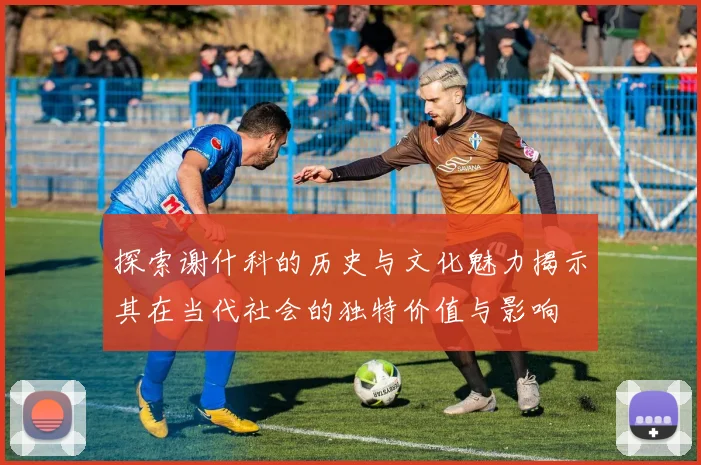 探索谢什科的历史与文化魅力揭示其在当代社会的独特价值与影响