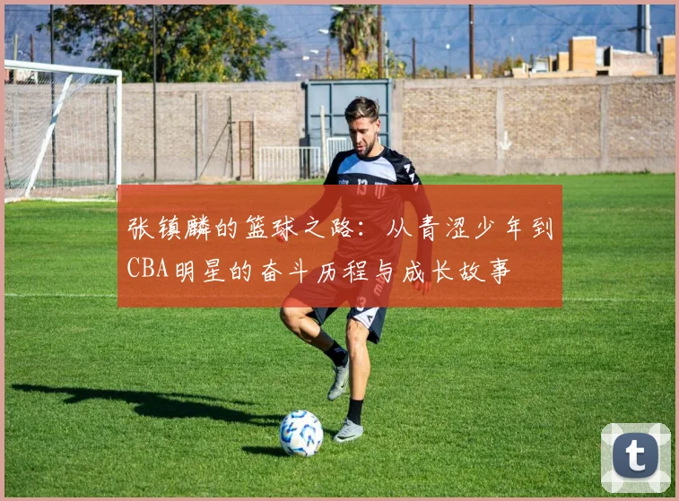 张镇麟的篮球之路：从青涩少年到CBA明星的奋斗历程与成长故事