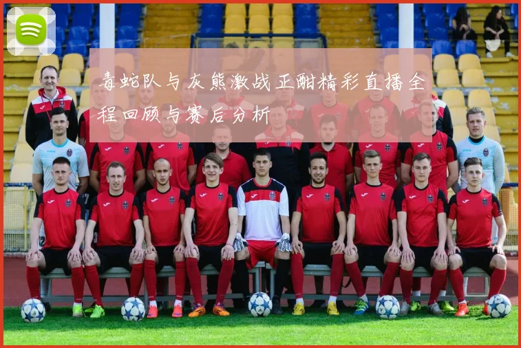 毒蛇队与灰熊激战正酣精彩直播全程回顾与赛后分析