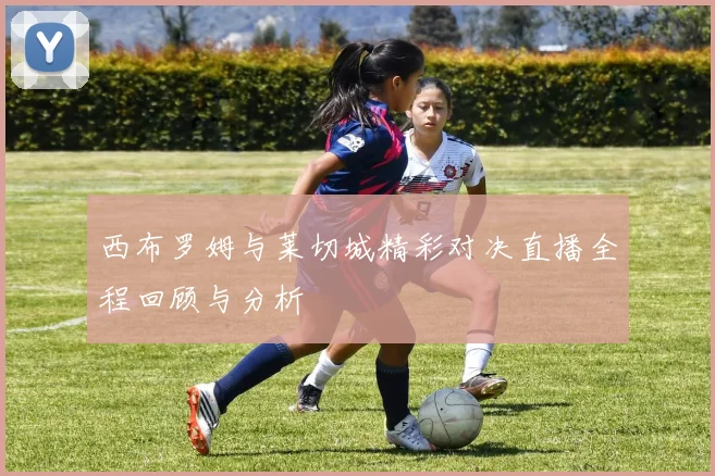 西布罗姆与莱切城精彩对决直播全程回顾与分析