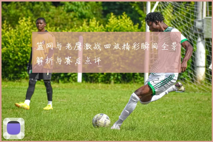 篮网与老鹰激战回放精彩瞬间全景解析与赛后点评