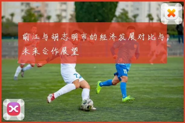前江与胡志明市的经济发展对比与未来合作展望