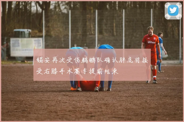 锡安再次受伤鹈鹕队确认胖虎将接受右膝手术赛季提前结束