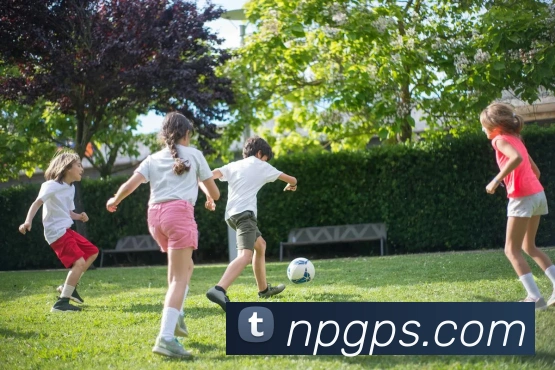 开云体育平台生态图