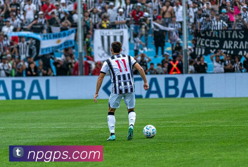 开云体育APP 封面图